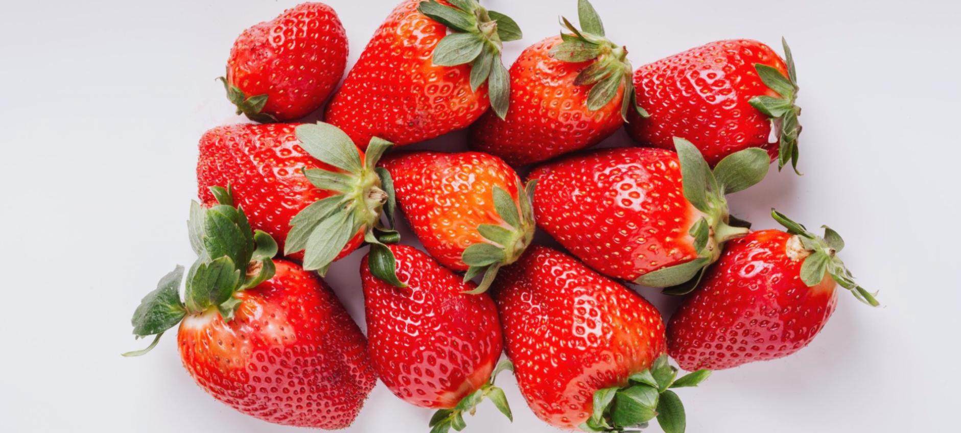 Materiales educativos y recursos de aprendizaje sobre nutrición holística utilizados en programas Skillquix